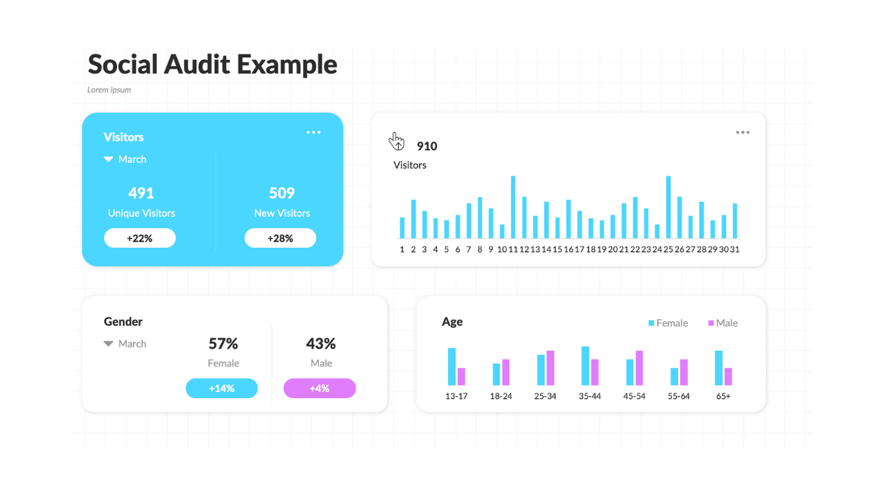 A social media audit example is a snapshot it your performance