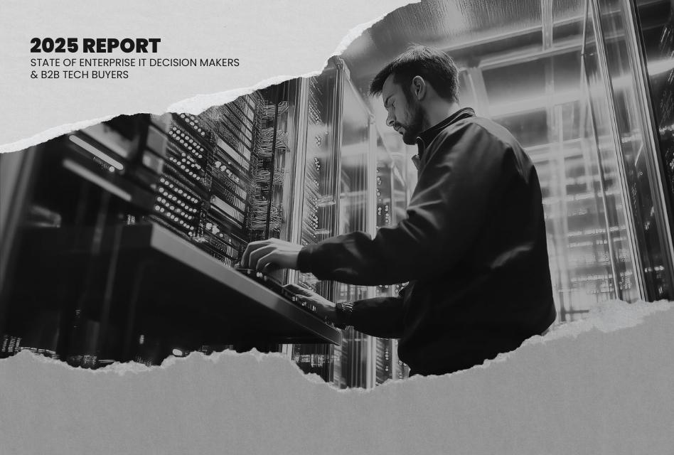 Report: Inside the Minds of IT Decision Makers & B2B Buyers 2025