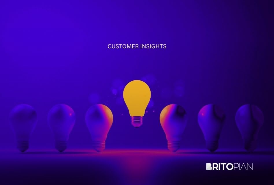 Why Customer Insights Drive Sales and Product Strategy