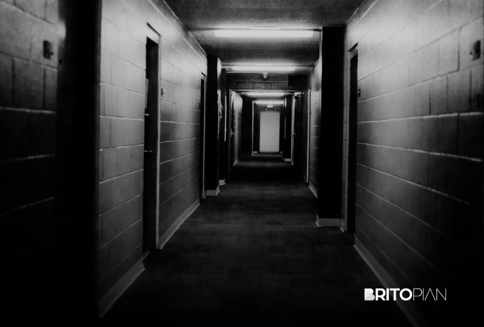 Brand Trust Signal Density: How to Amplify Credibility in AI Search